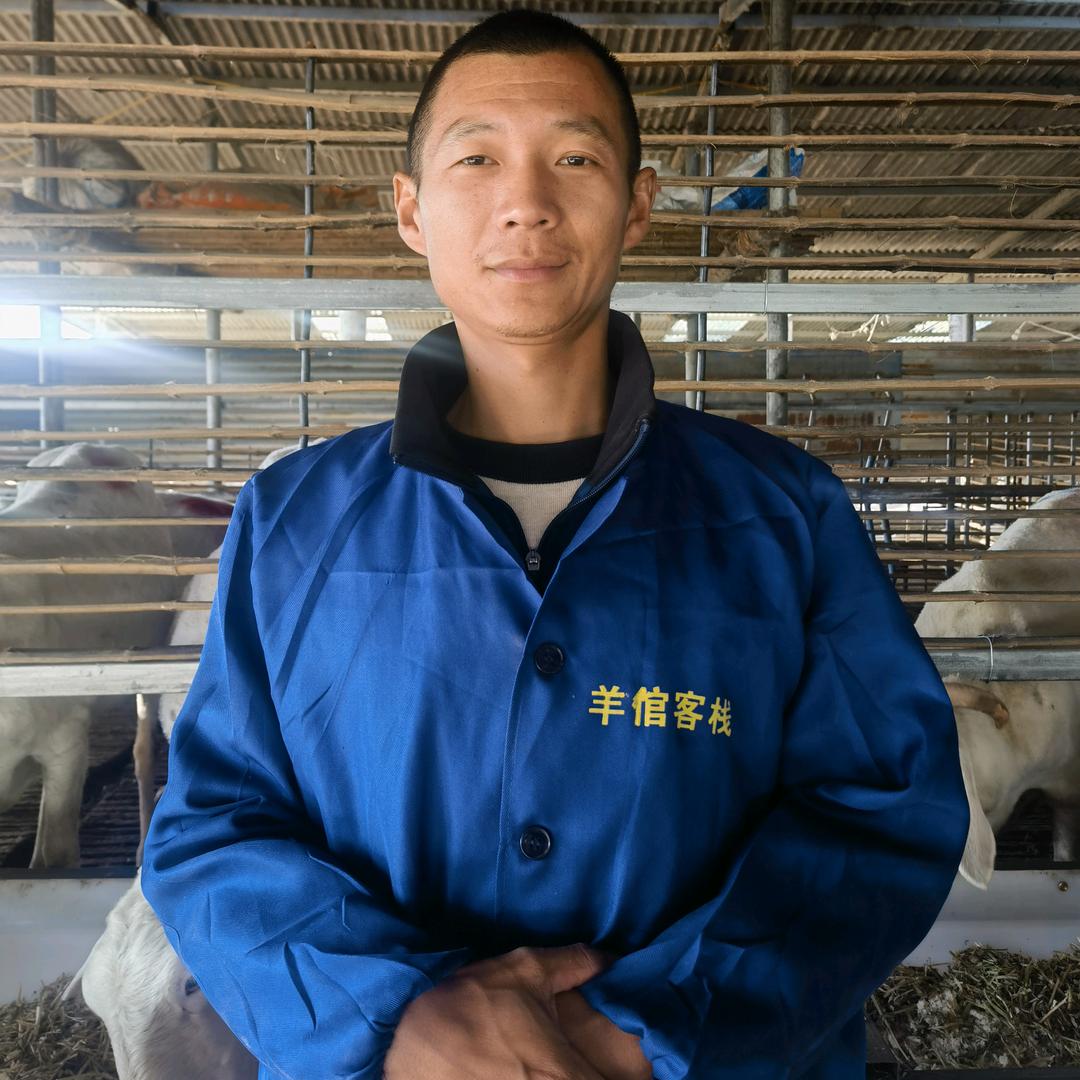 养羊小冬冬
