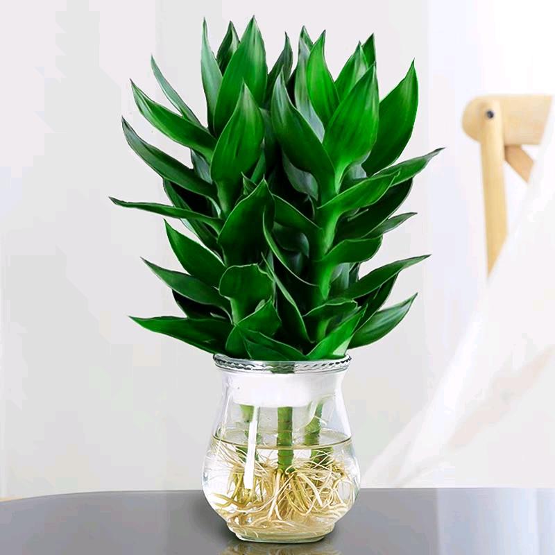 时来运转