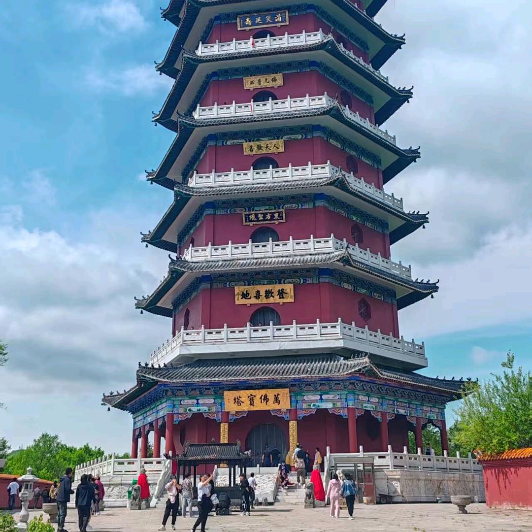 东北丸子（不定时直播）