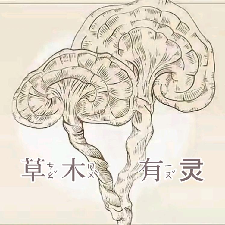 草木有灵