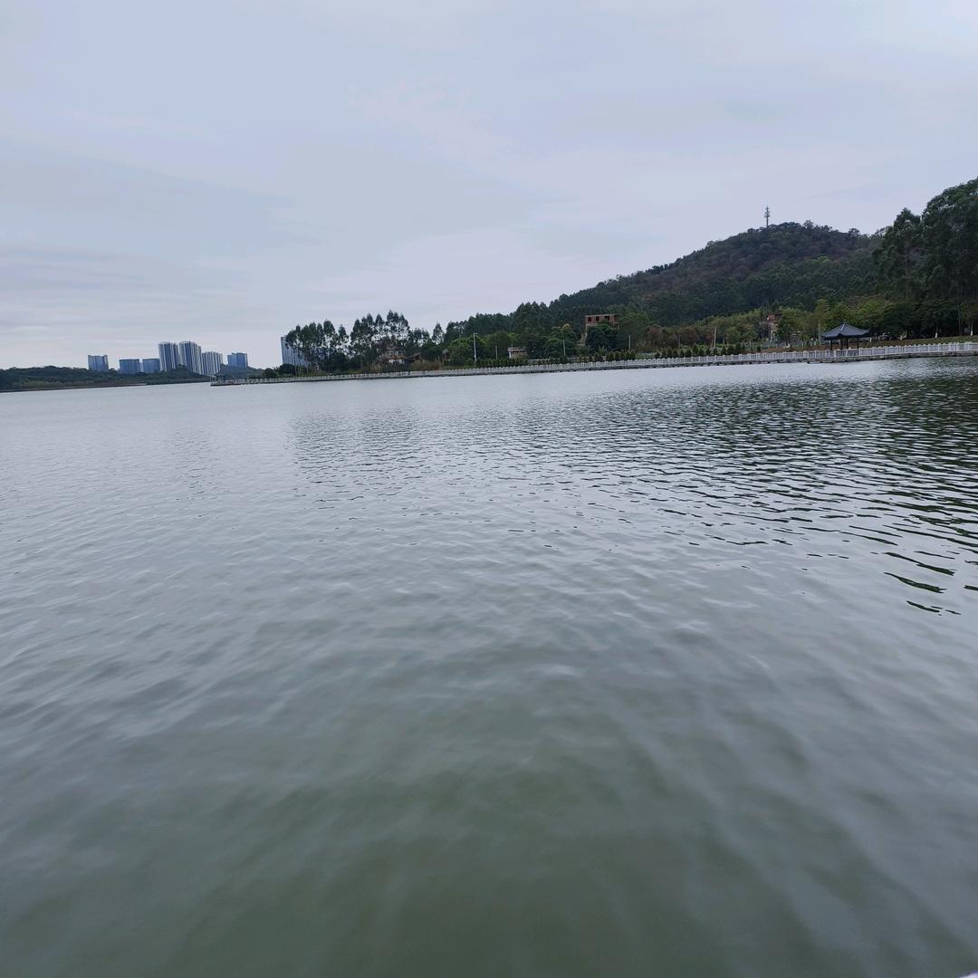 小雨