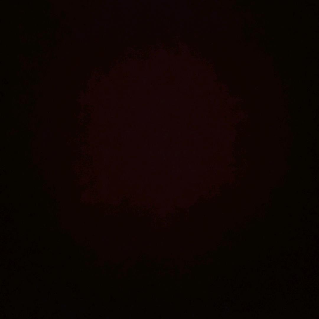 用户889258379091028