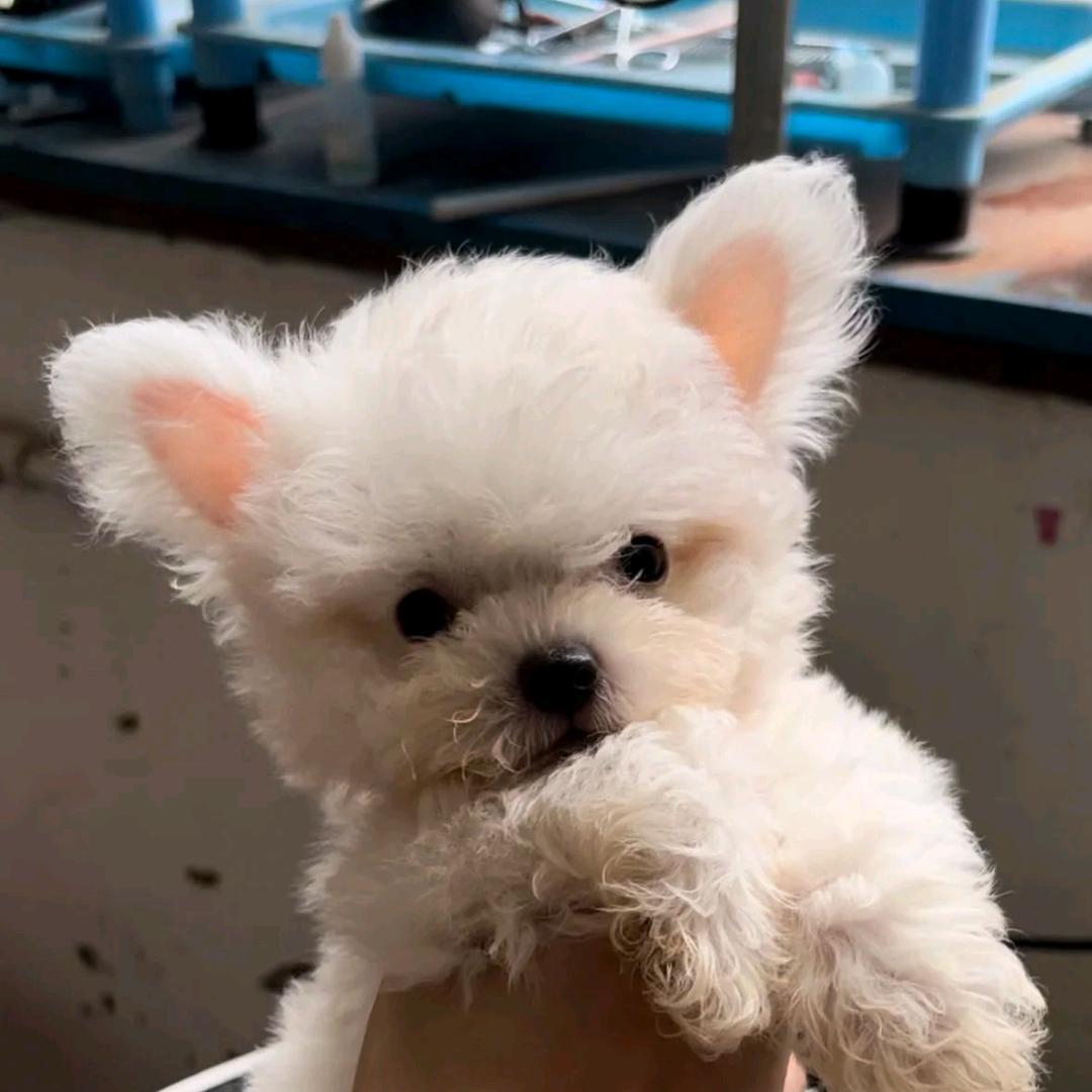 90后老阿姨爱吐槽