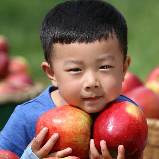 杨少🍎🍎🍎🍎