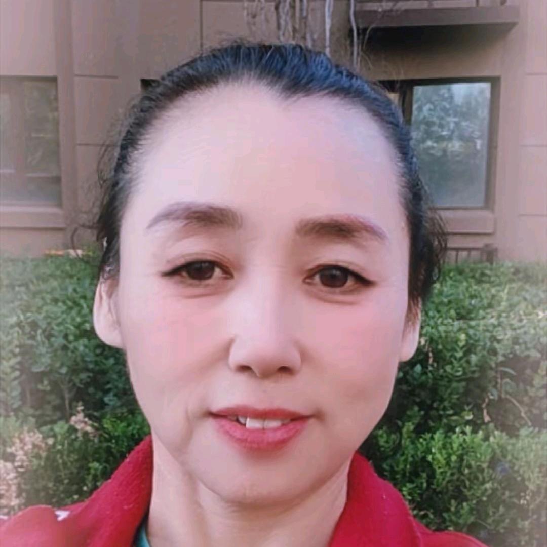 树叶2023