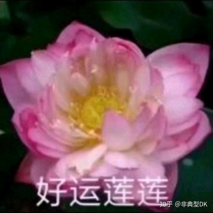 花好月圆😁