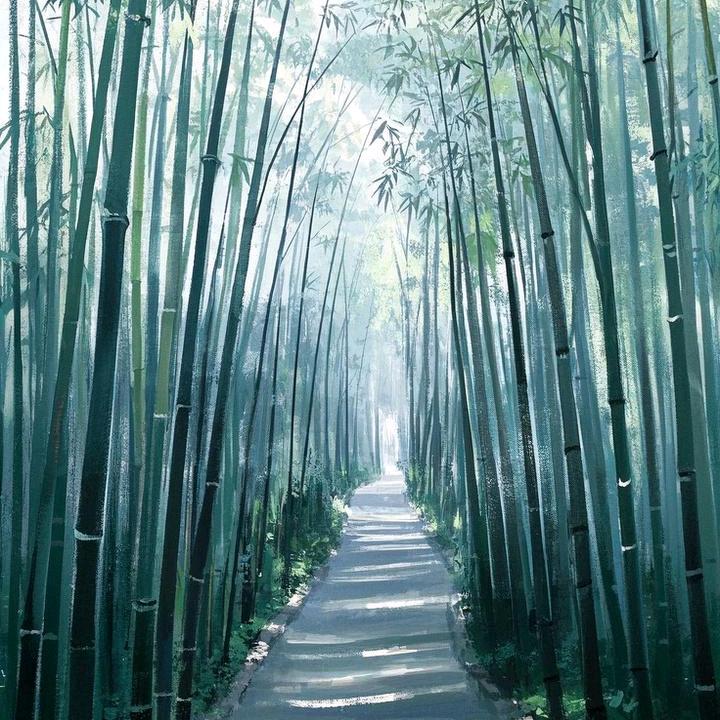 👍世界充满爱👍