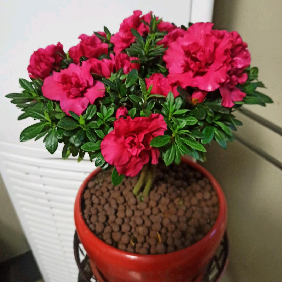 幸福美满