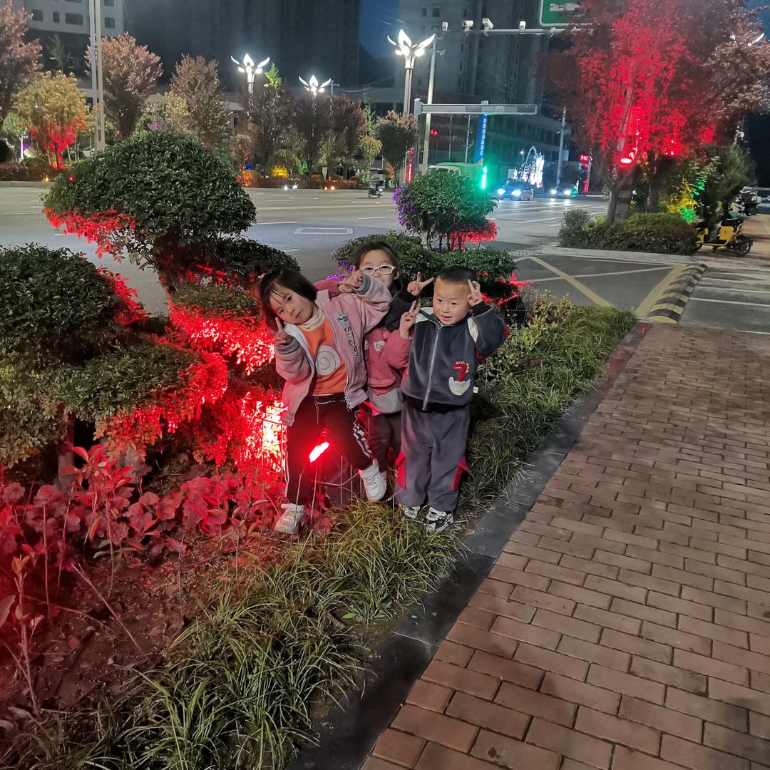 陕西盛宝电力有限公司270519231