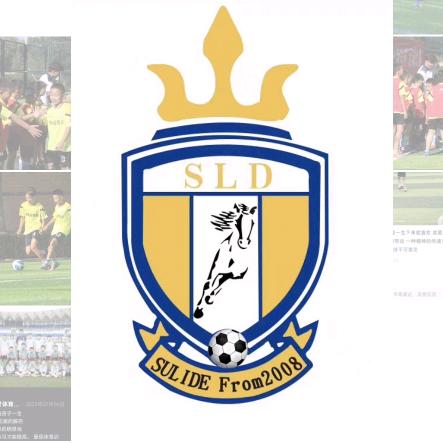 一个在小镇里的足球小队