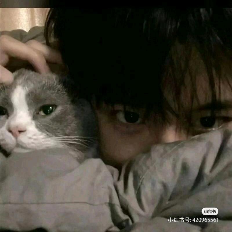 想睡觉💤