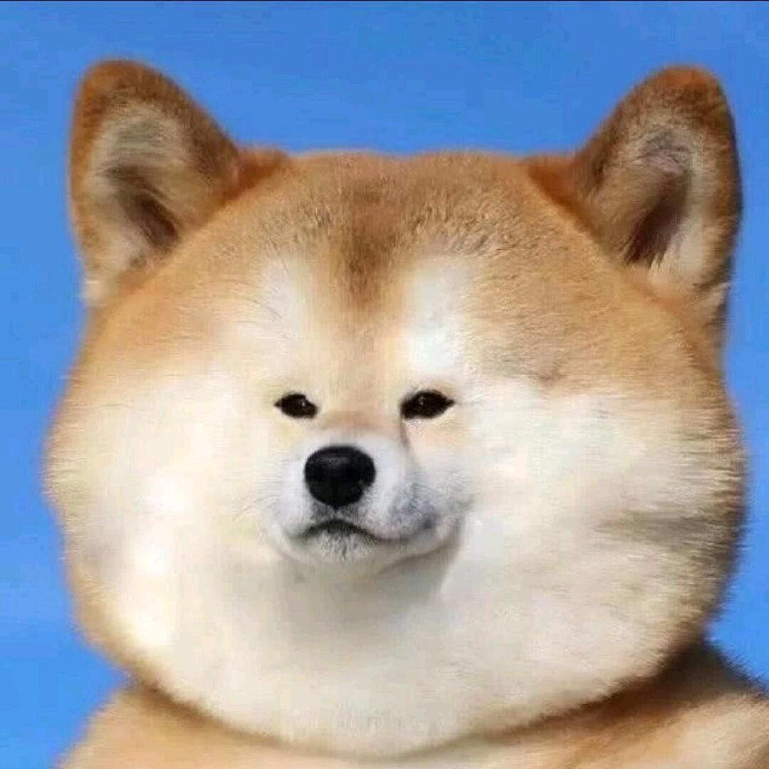 KKKK