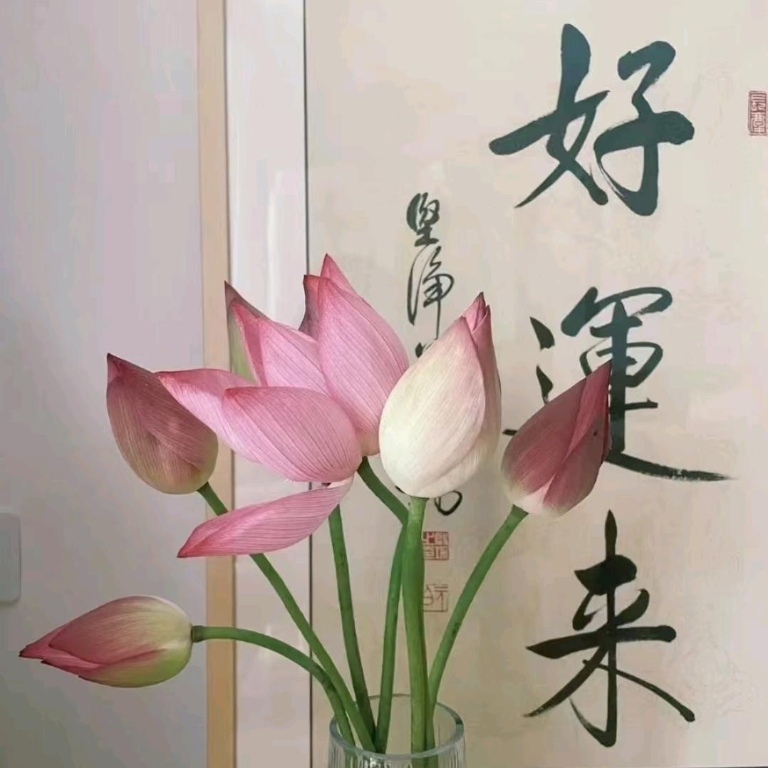 好运连连🌷🌺🍎