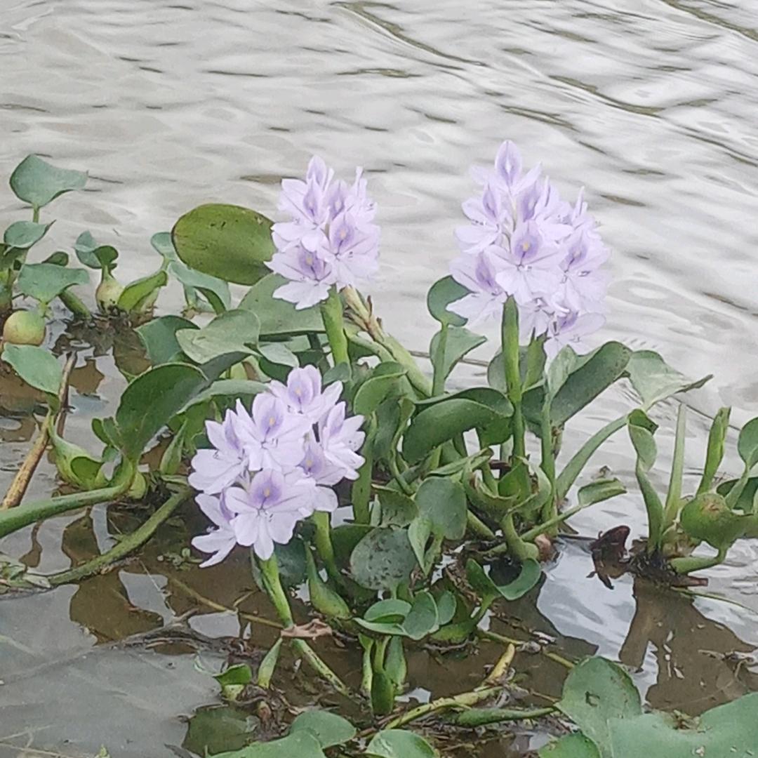不能忘