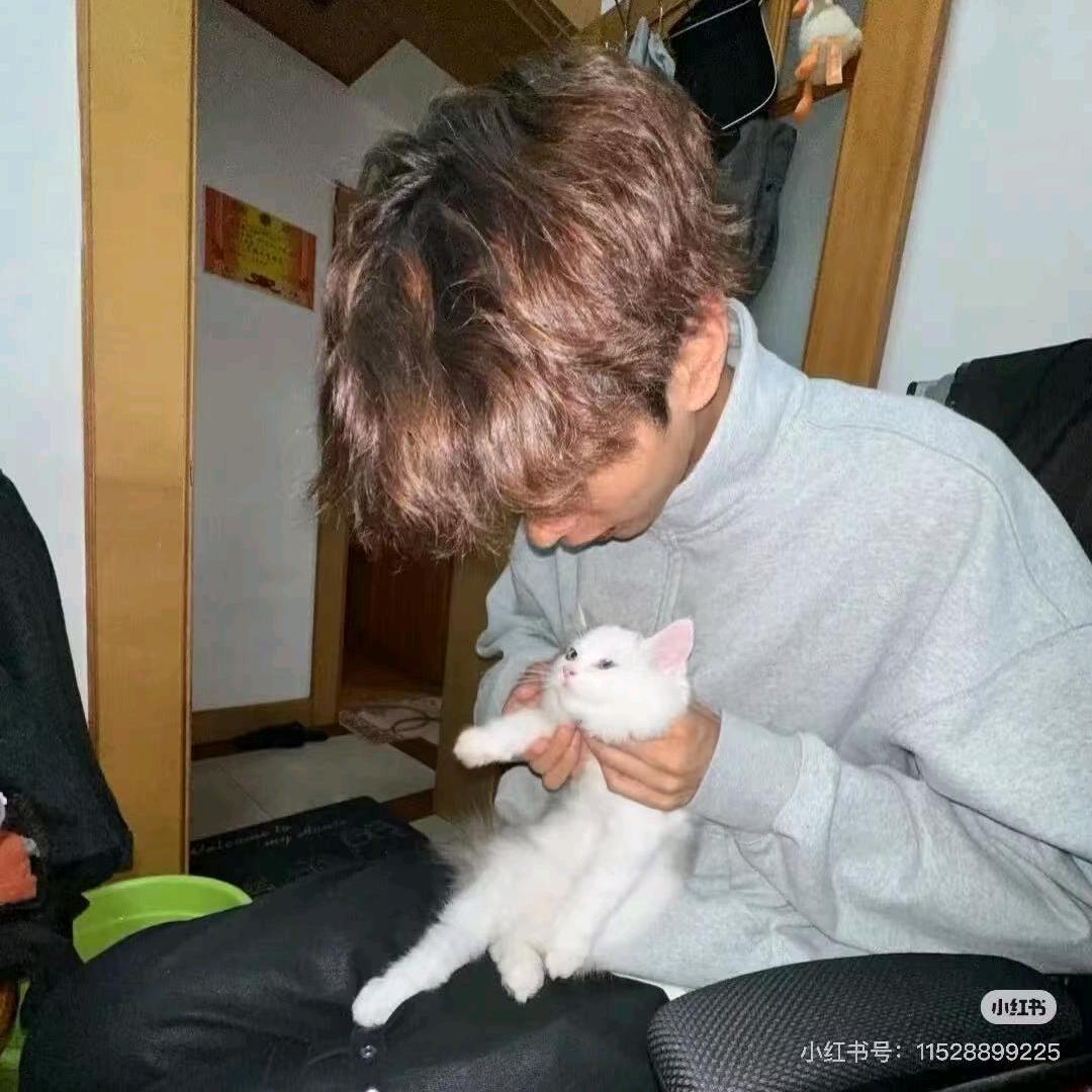 不会改车的卷毛