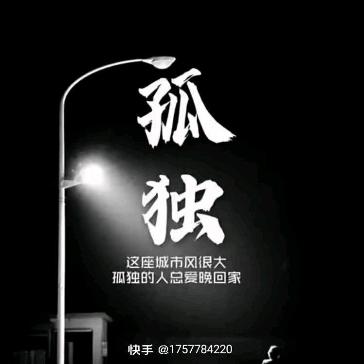 🐉🐉孤独🐉🐉