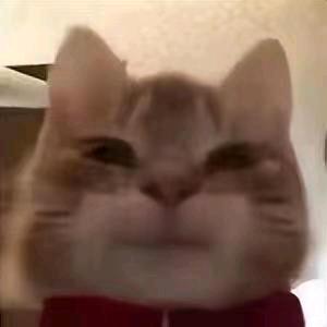 书的亲哥！（就稀罕她）