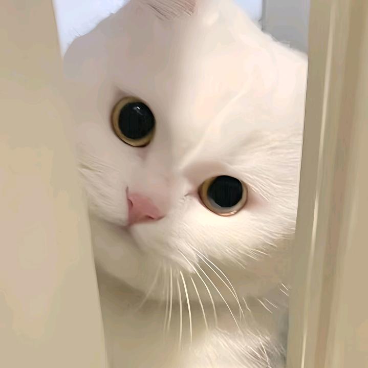 小咪…