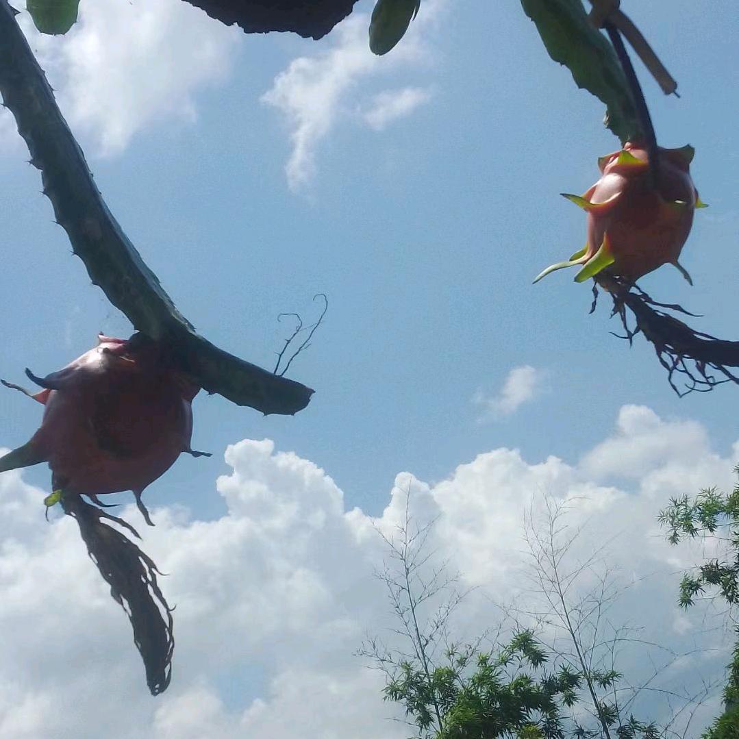 珞颜🍒