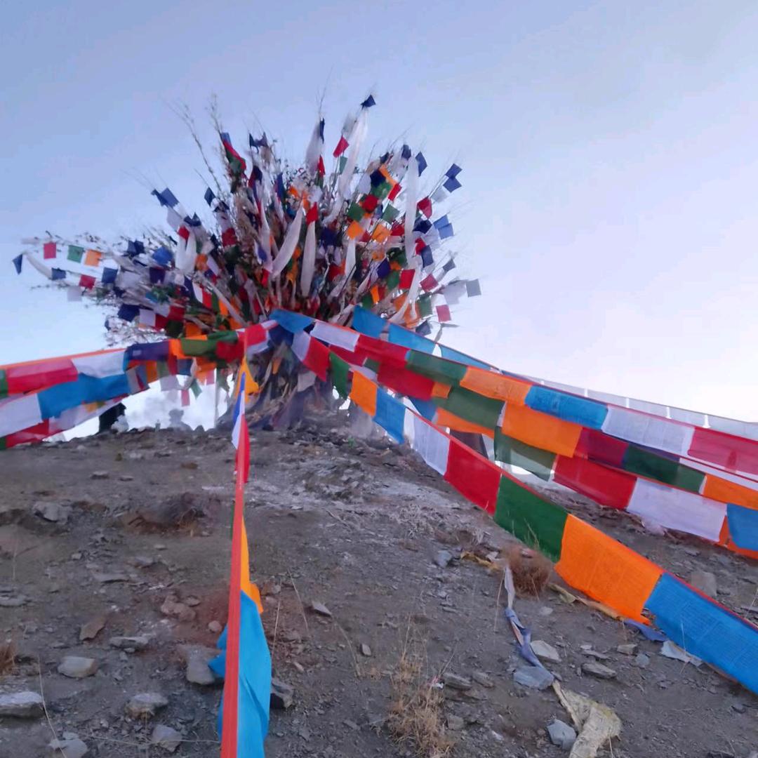 -悲伤𝙆𝙞𝙩𝙩𝙮猫