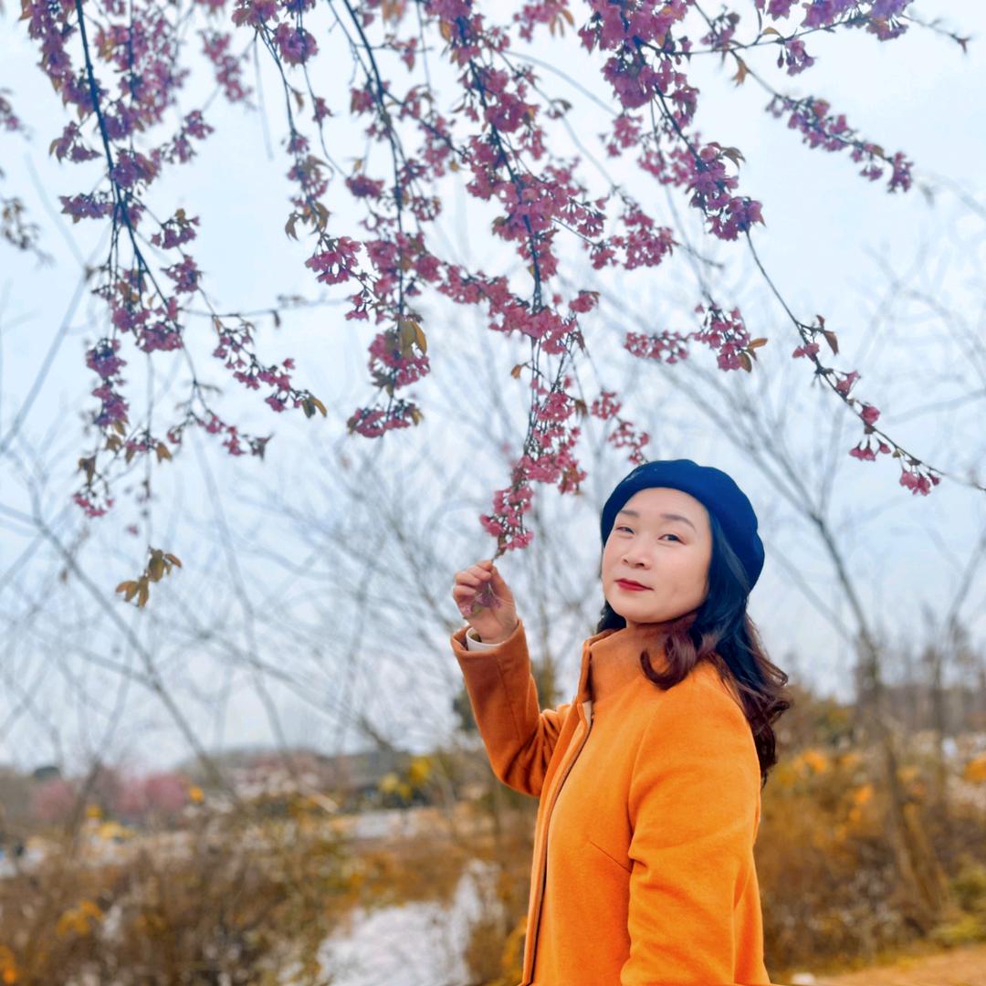 陈英姐姐