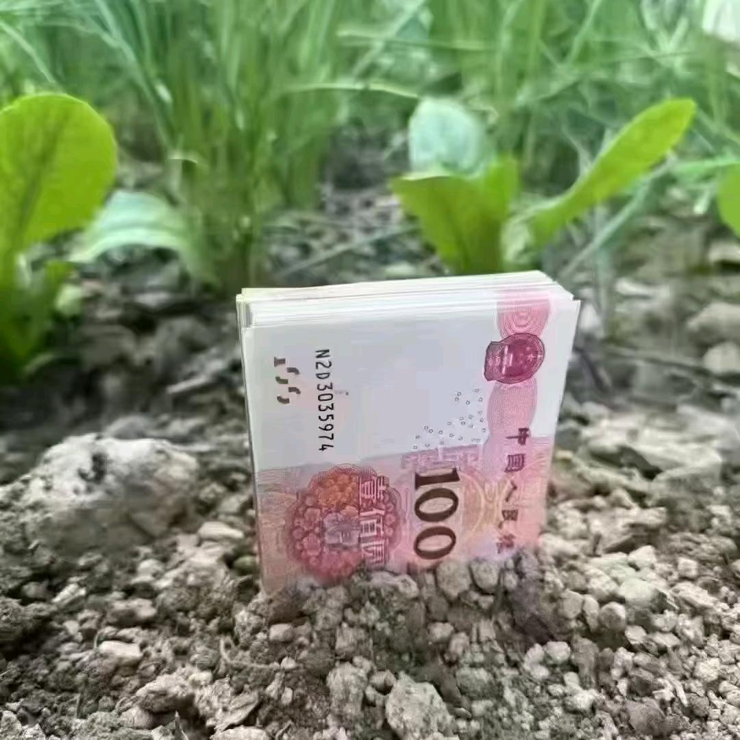 赛马