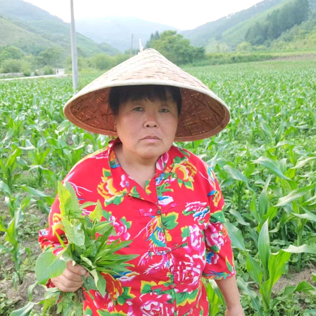 东北丫姐