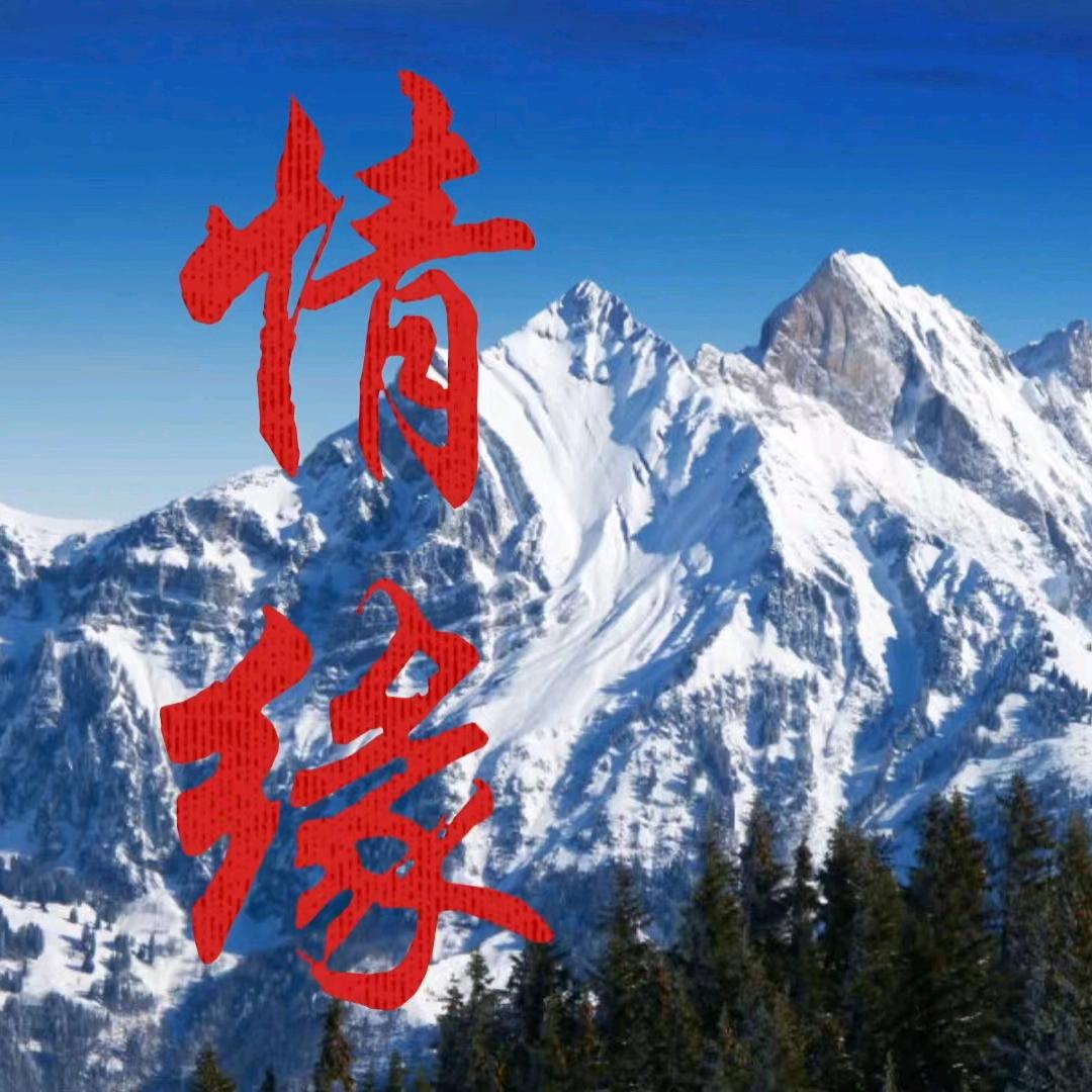 雪山·情缘