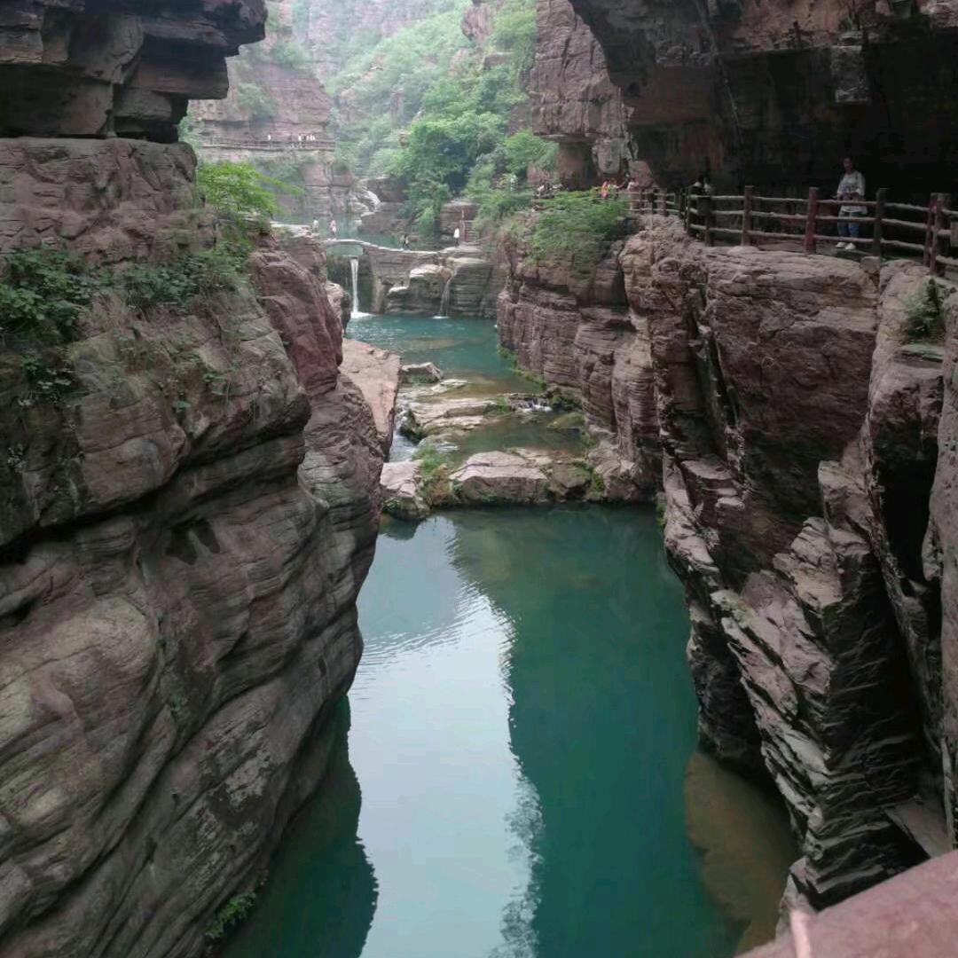 🌾👉小李哥🍃