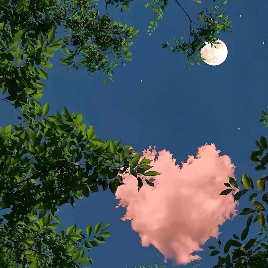 卖水暖五金的女银