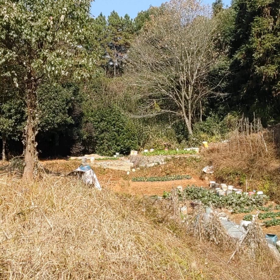 平民的生活