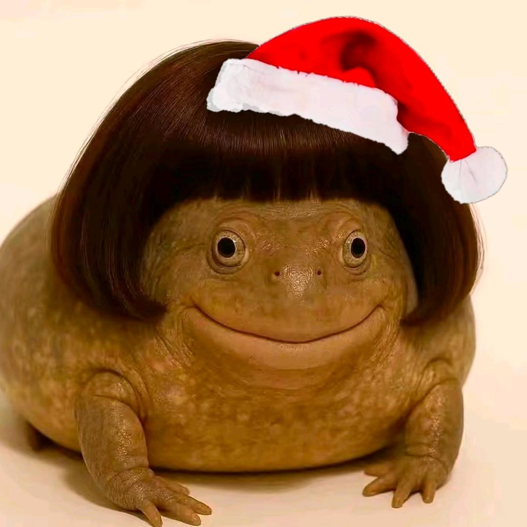 ୧ʕ•̀ᴥ•́ʔ୨