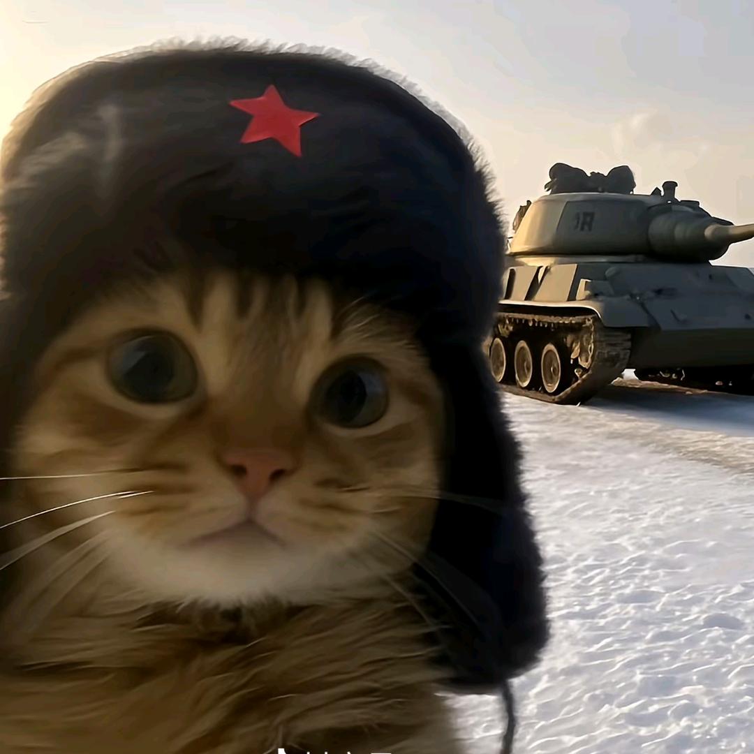 保尔柯察咪