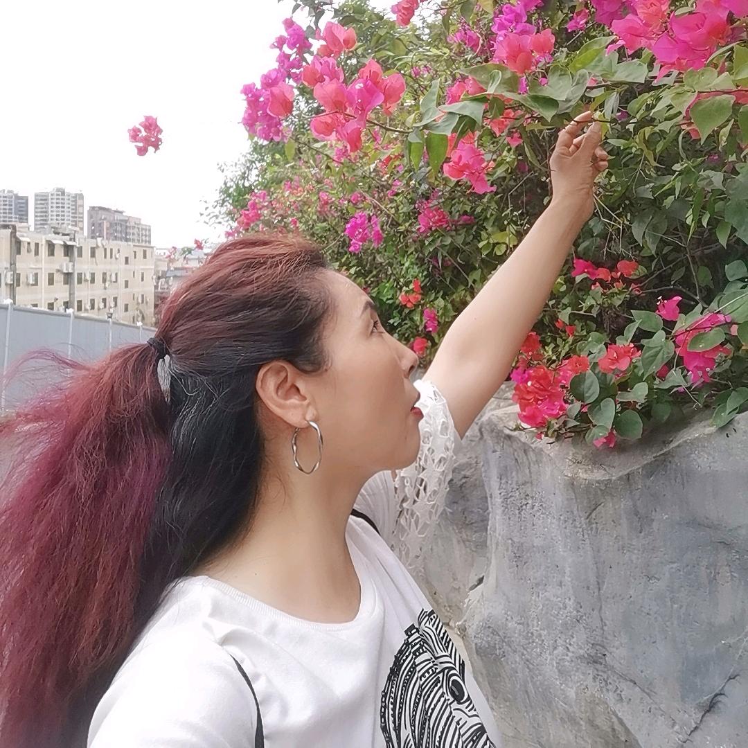 🍃淡然自若🍃