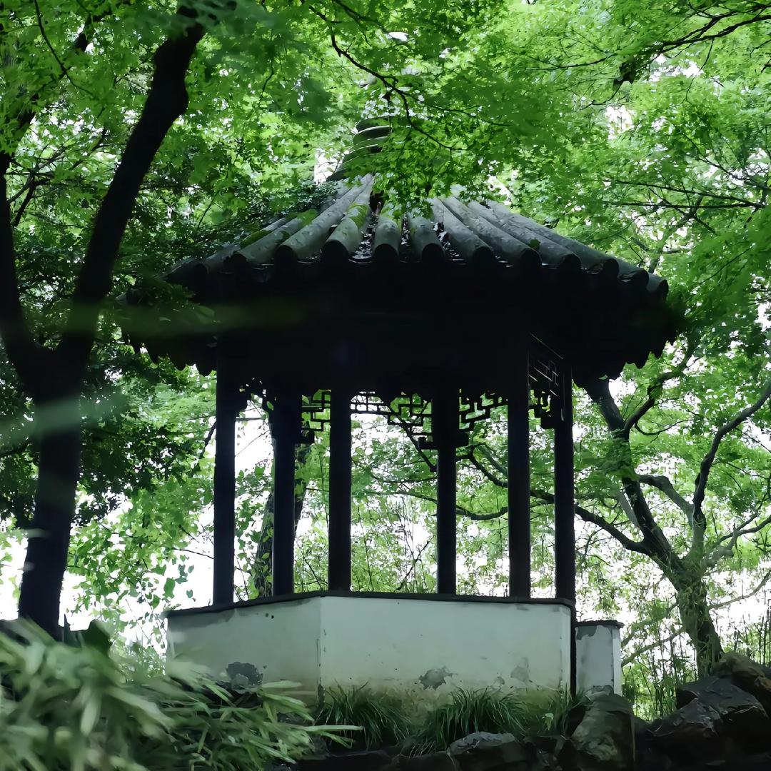 自由の风