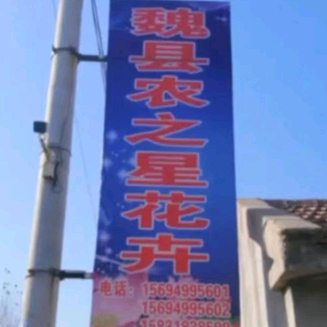 魏县农之星花卉