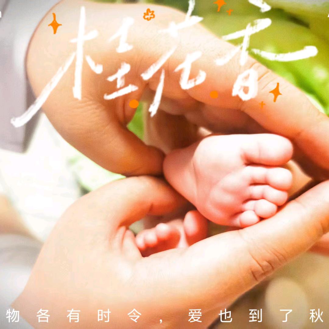 七宝