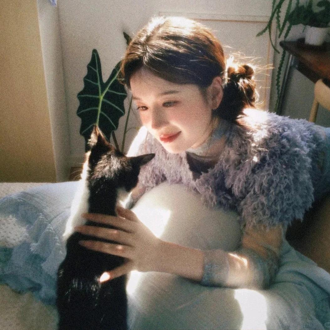 ᙏ̤ꪔ̤̥  零碎的岛屿ꪔ̤̮  ꪔ̤♡