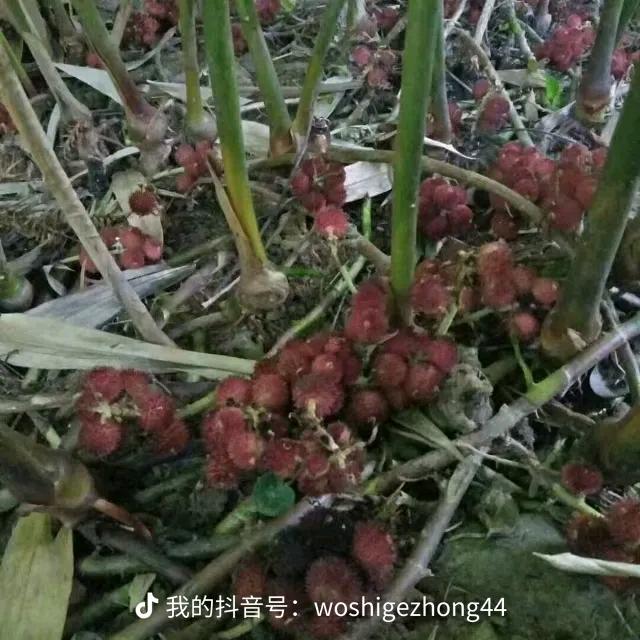 我很善良。