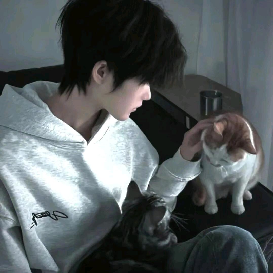 楠木眠歌ღᩚ