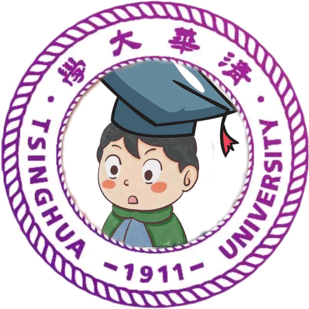 清华电子大阳哥