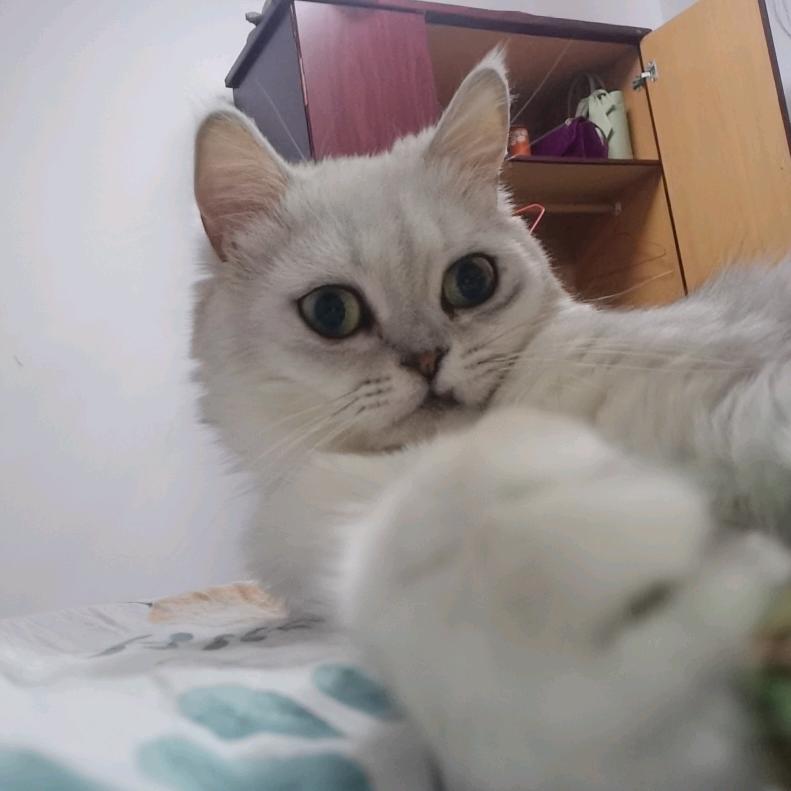 洗洗睡吧
