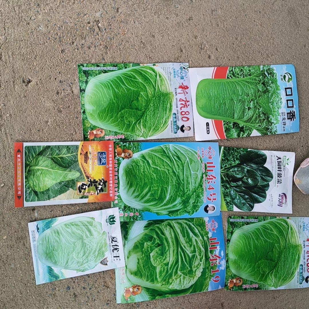 期待明天更美好