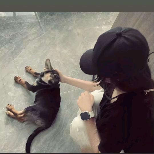 小橘子
