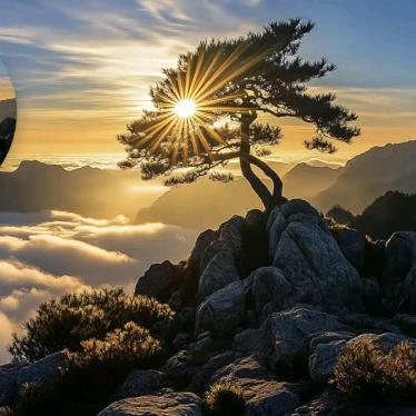 ໑ຼₒ₂5ღ᭄董6᭄💞