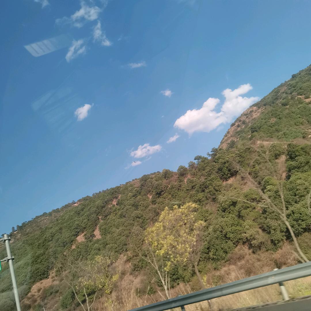 无法言语