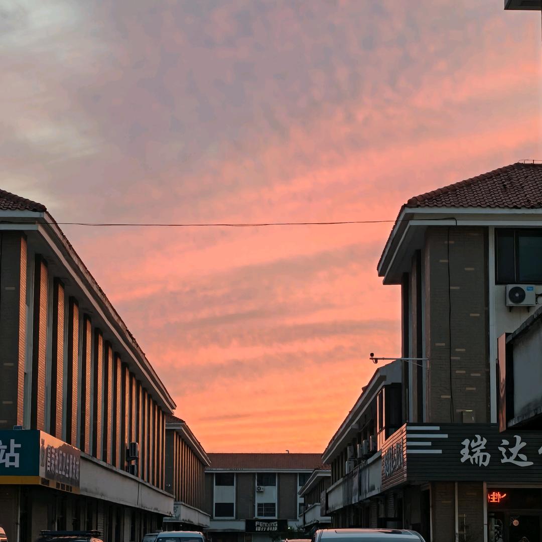 小唐不摆烂