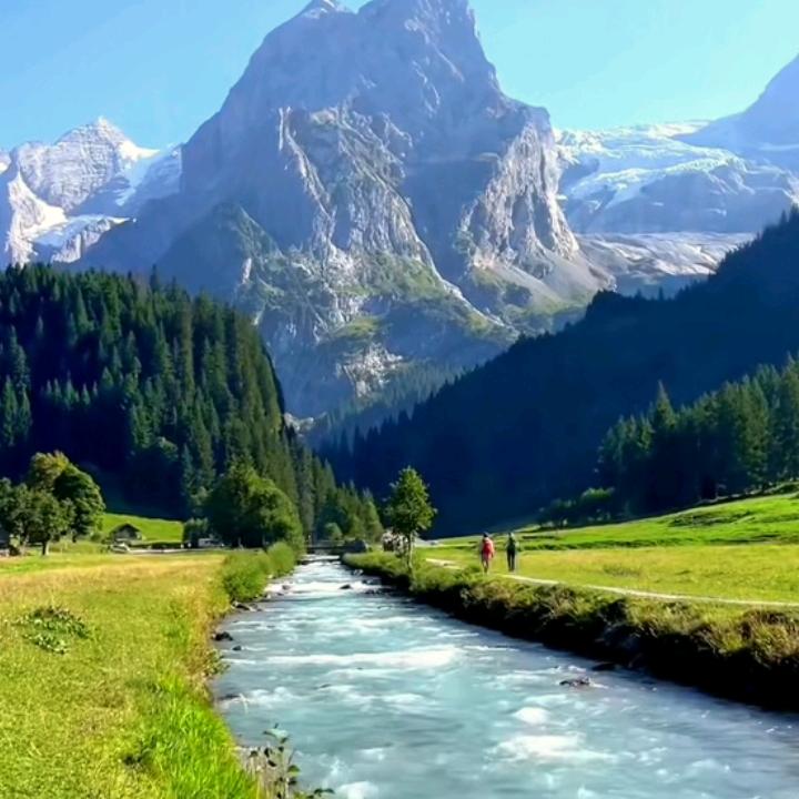 若见诸相非相，即见如来