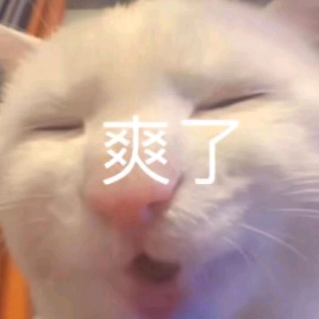 逗汁儿丶