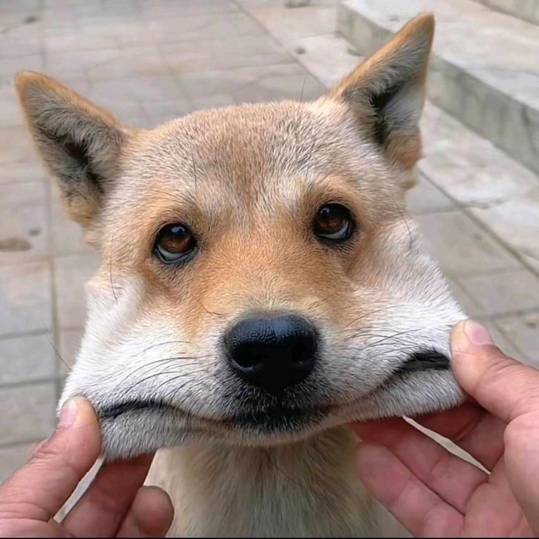 そばにいるね